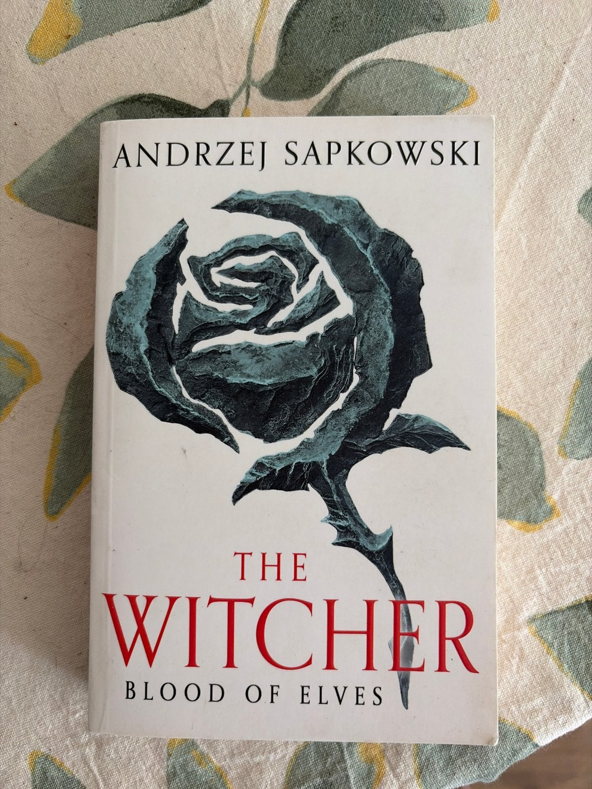 The Witcher: Blood of Elves - Andrzej Sapkowski, Boeken, Ophalen of Verzenden, Gelezen, Europa overig