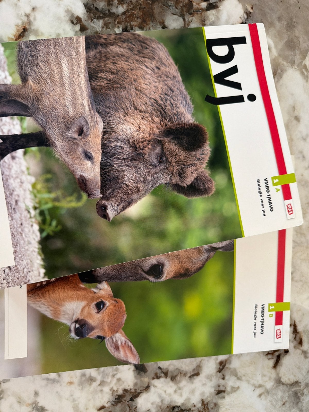 Biologie boeken vmbo-T havo 2 stuks, Boeken, Ophalen of Verzenden, Gelezen, VMBO, Biologie