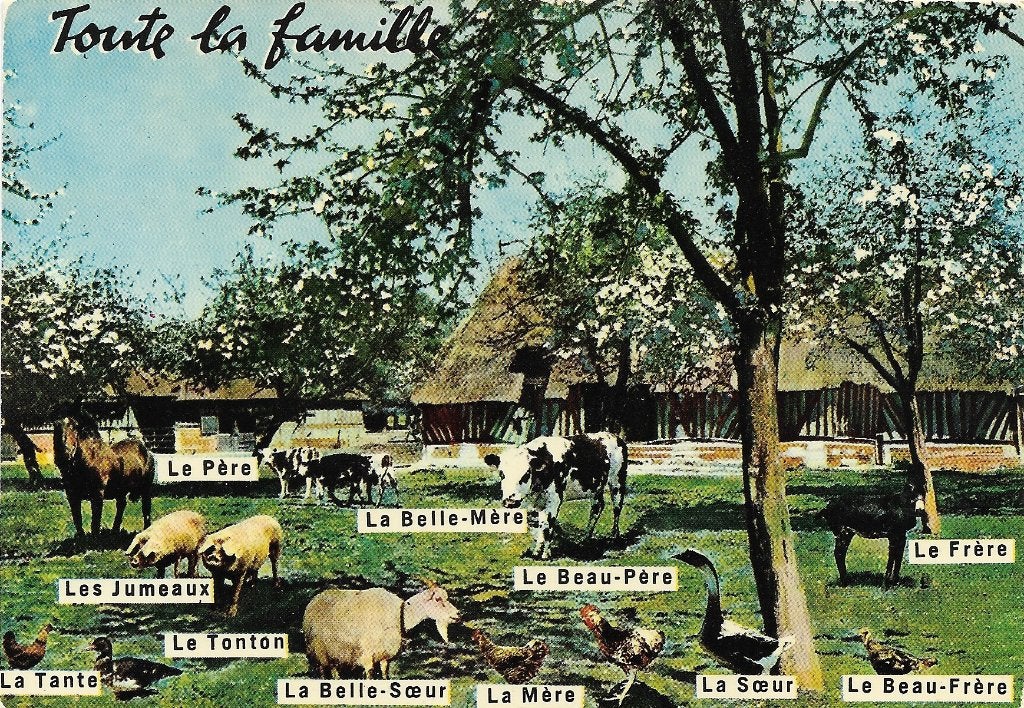 Ansichtkaart  	Gehele Familie	Boerderijdieren, Verzamelen, Verzenden, 1980 tot heden, Gelopen, Overige soorten