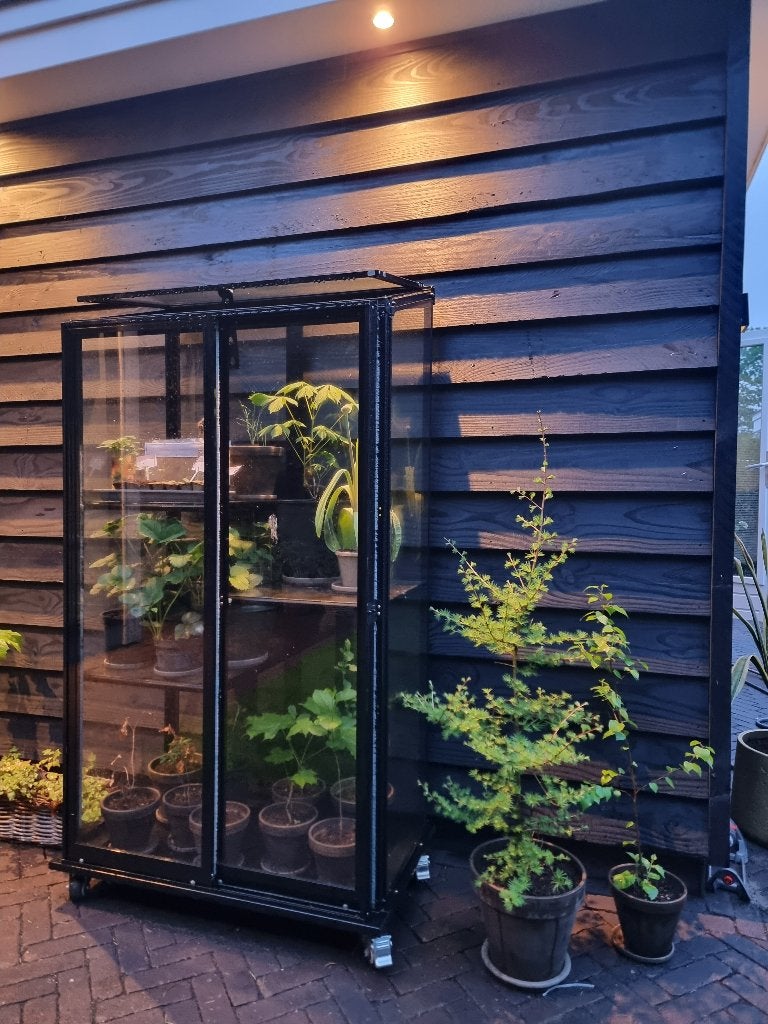 Muurkas Pro Pikasso op wielen OPTIE: kant en klaar geleverd, Tuin en Terras, Muurkas, Nieuw, Ophalen of Verzenden, Glas
