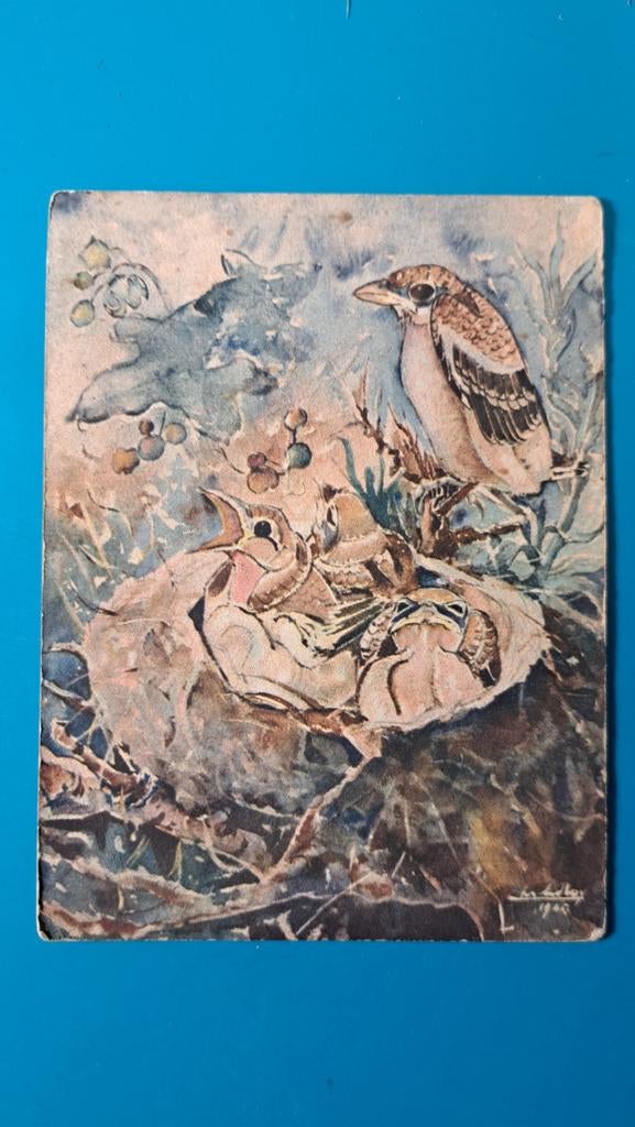 Chris Le Roy - illustrator, lithograaf, schilder, KLAUWIER, Ophalen of Verzenden