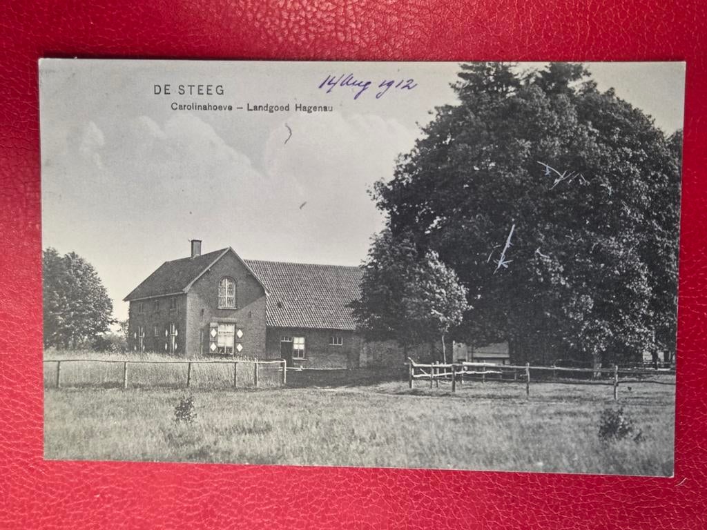 De Steeg bij Rheden Dieren Landgoed Hagenau Carolinahoeve, Ophalen of Verzenden, Gelderland