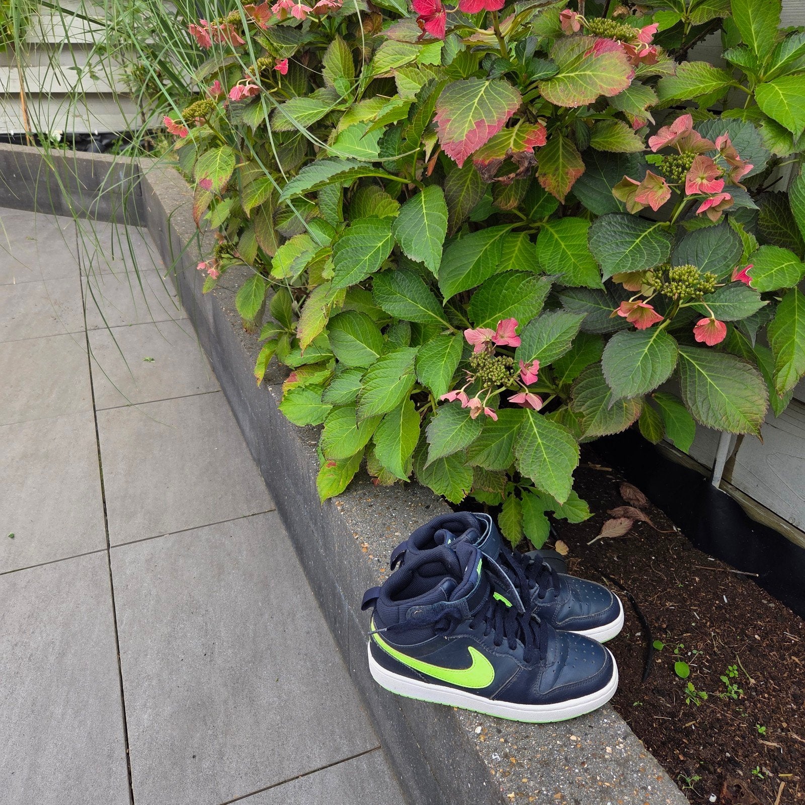 Nike schoenen maat 37,5 - Zo goed als nieuw, Ophalen of Verzenden, Zo goed als nieuw, Jongen of Meisje, Schoenen