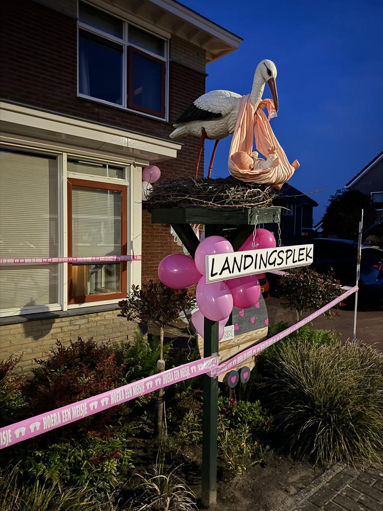 Ooievaarsnest, Ophalen