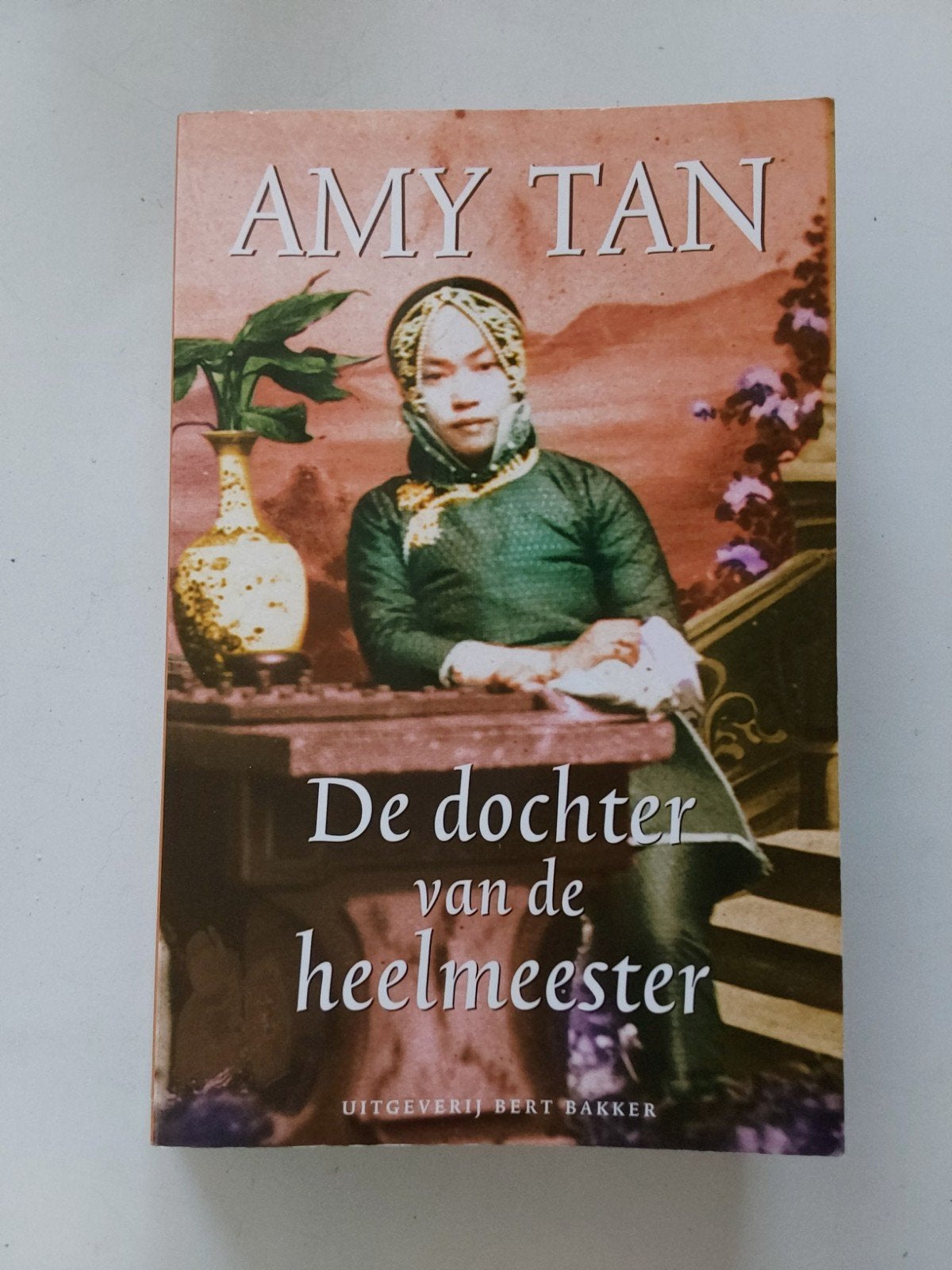 Amy Tan : De dochter van de heelmeester, Gelezen, Amy Tan, Ophalen of Verzenden, Amerika