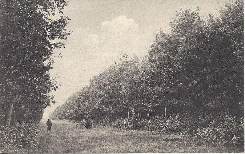 Oudemirdum (Frl.) Gaasterland, Badplaats, Volk, gelopen 1924, Verzamelen, Ansichtkaarten | Nederland, Ophalen of Verzenden, 1920 tot 1940