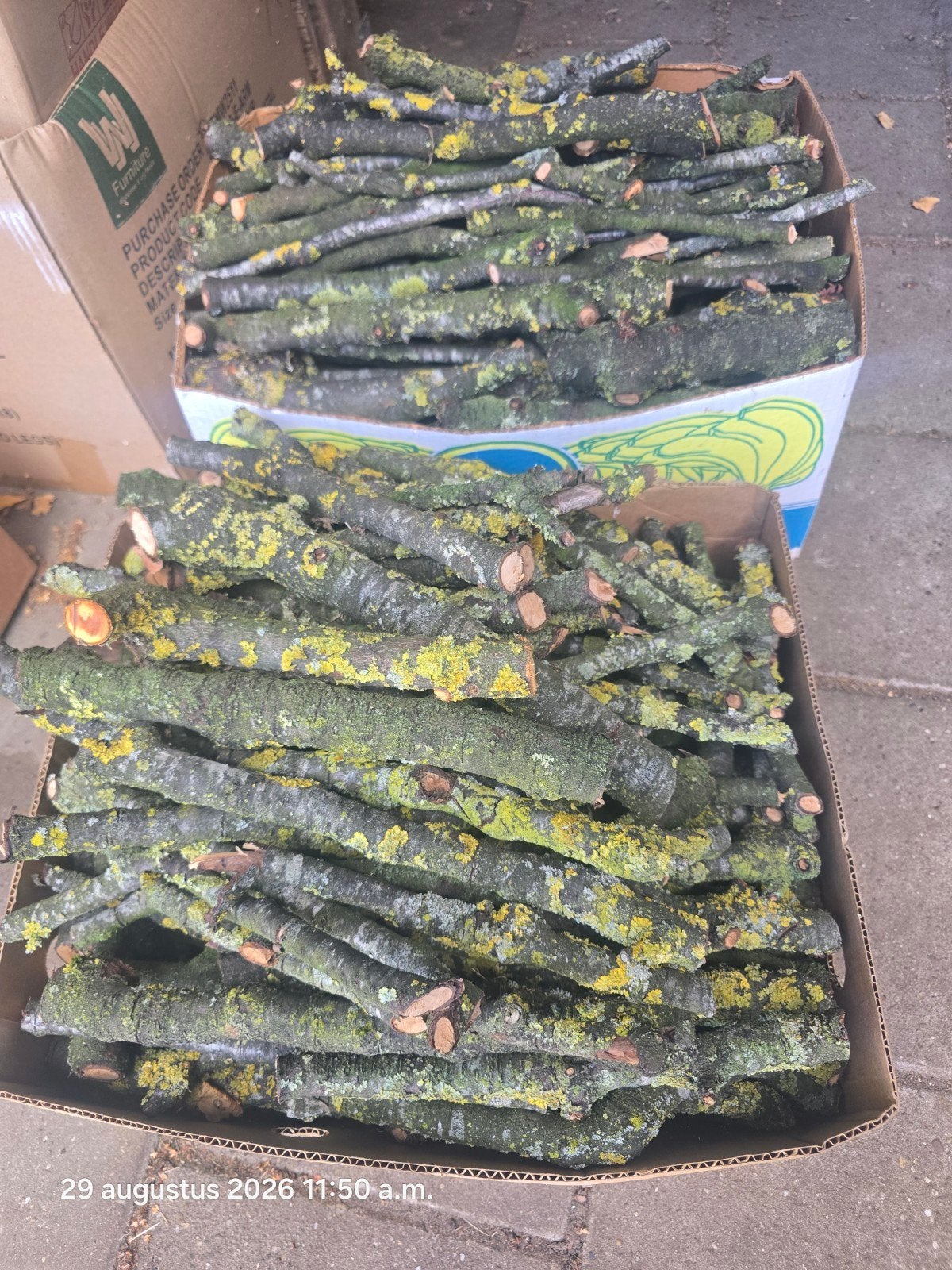 brandhout  Kersenboom takken., Minder dan 3 m³, Ophalen, Overige houtsoorten, Takken