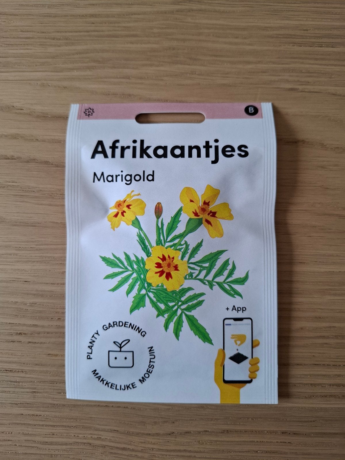 Makkelijke Moestuin zaden – nieuw en direct uit voorraad, Ophalen of Verzenden, Gehele jaar, Volle zon, Zaad