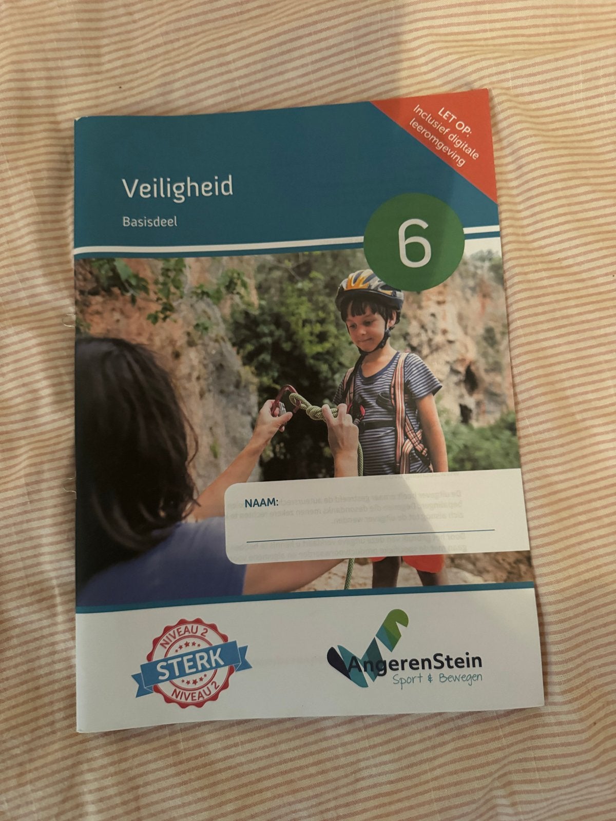 Veiligheid Basisdeel 6 - Angerenstein Sport & Bewegen, Ophalen of Verzenden, Zo goed als nieuw, Overige niveaus, Overige vakken