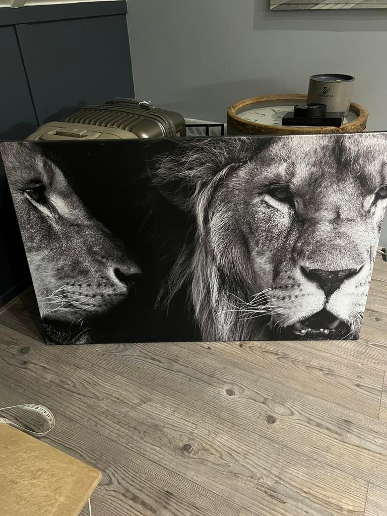 Schilderij leeuwen, Ophalen, Zo goed als nieuw, Schilderij, 75 cm of meer