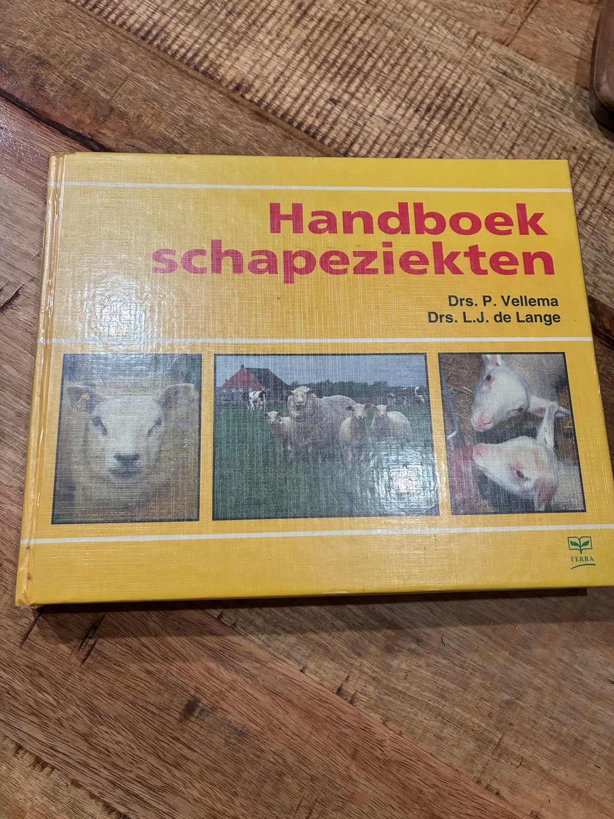 Handboek schapeziekten - Drs. P. Vellema & Drs. L.J. de Lang, Boeken, Ophalen of Verzenden, Gelezen, Vee