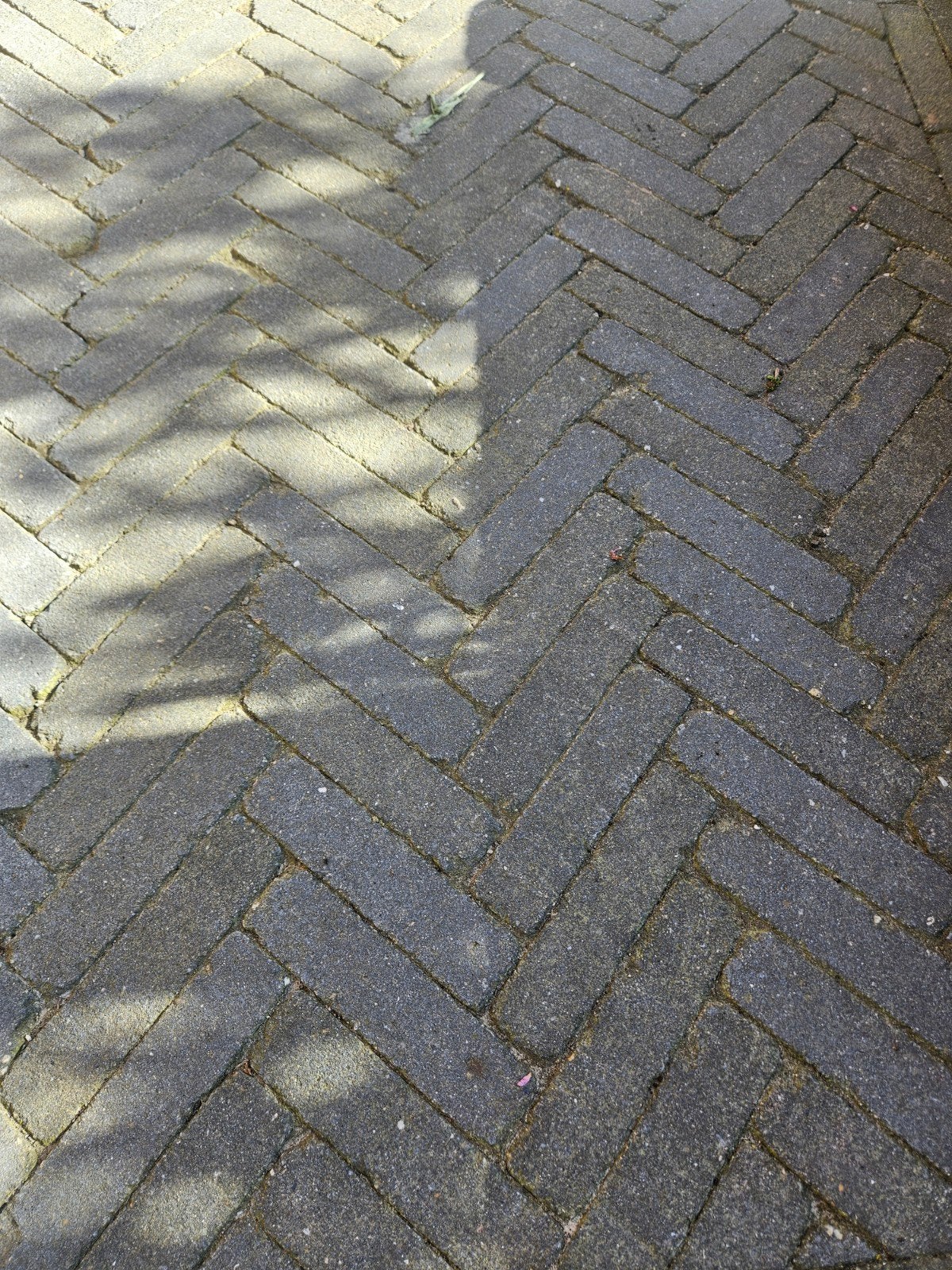 Grijze waaltjes nieuw, Tuin en Terras, Ophalen, Nieuw, Beton, Klinkers
