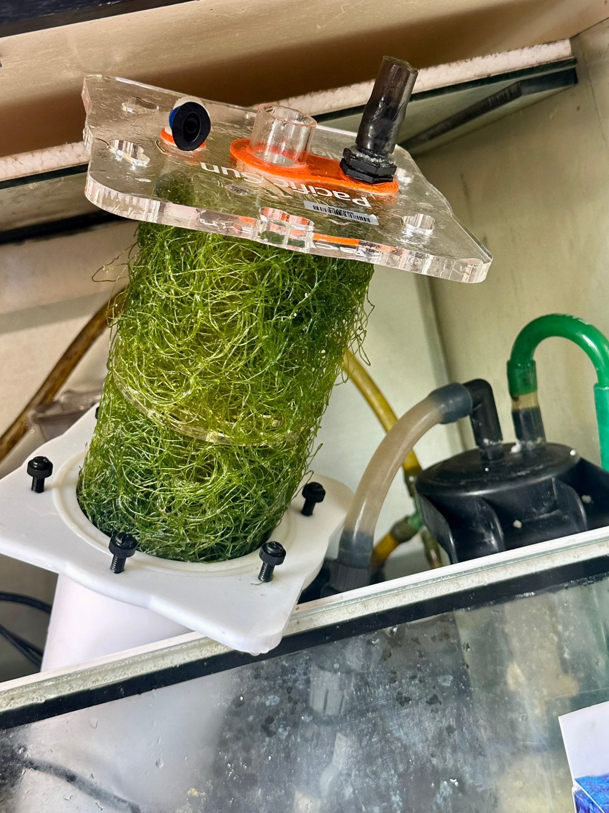 Cheatomorpha wier, wierenfilter, algenreactor, Overige typen, Zoutwatervis