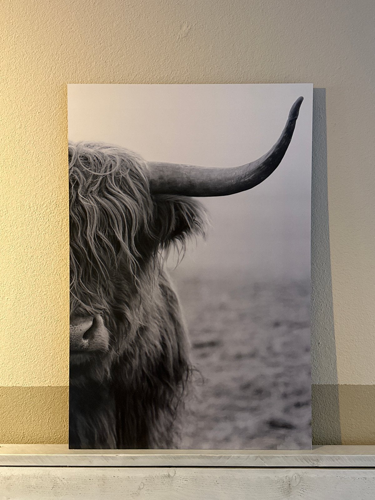 Wanddecoratie Schotse Hooglander 90x60 cm, Huis en Inrichting, Ophalen of Verzenden, 75 – 100, 50 tot 75 cm, Print