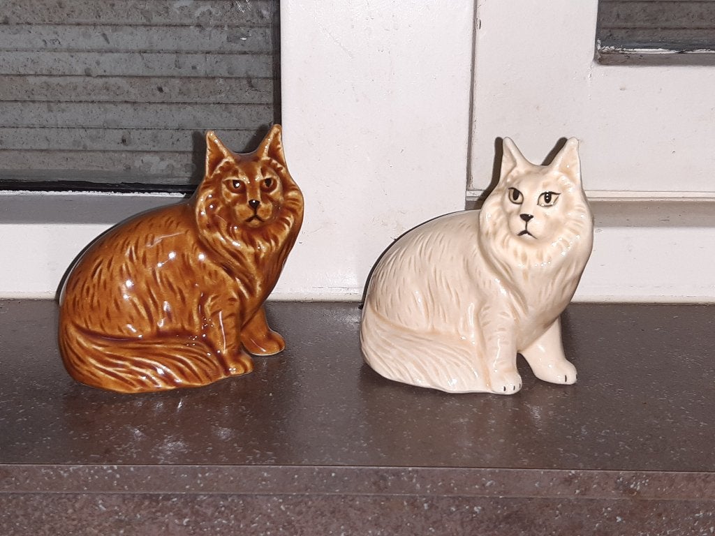 Unieke maine coon kat beelden uit Rusland, Ophalen of Verzenden, Zo goed als nieuw, Mens