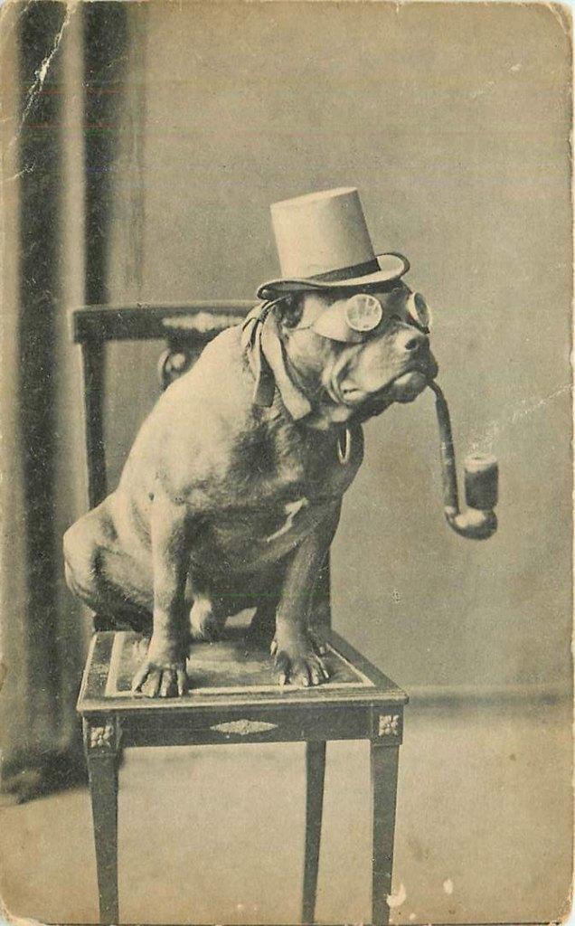 381-359-003 Dog, Verzenden, Voor 1920, Overig Europa