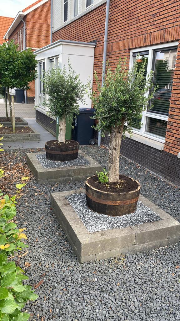 Eikenhouten plantenbakken van oude whiskyvaten, Ophalen, Gebruikt, Rond, Balkon