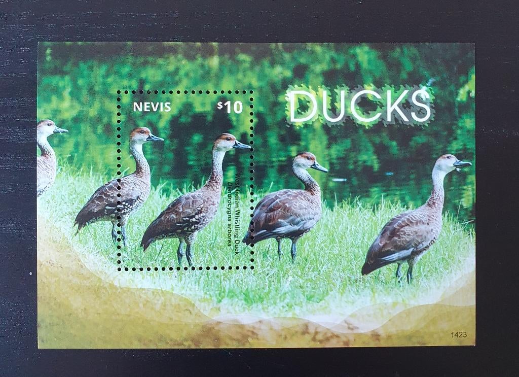 Nevis 2014 Vogels Eenden Michel blok 355 postfris, Verzenden, Postfris, Dier of Natuur