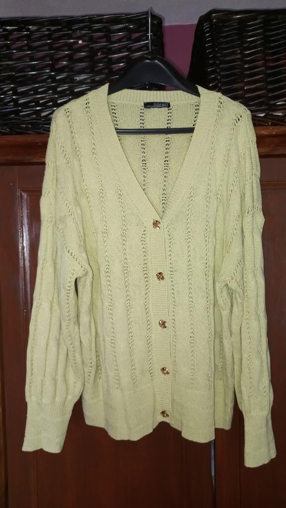 Ajour vest Norah maat 46, Kleding | Dames, Truien en Vesten, Maat 46/48 (XL) of groter, Ophalen of Verzenden, Zo goed als nieuw