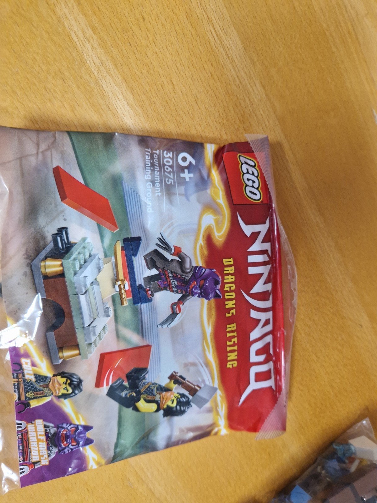 LEGO Ninjago 30675 Tournament Training Ground Polybag, Ophalen of Verzenden, Nieuw