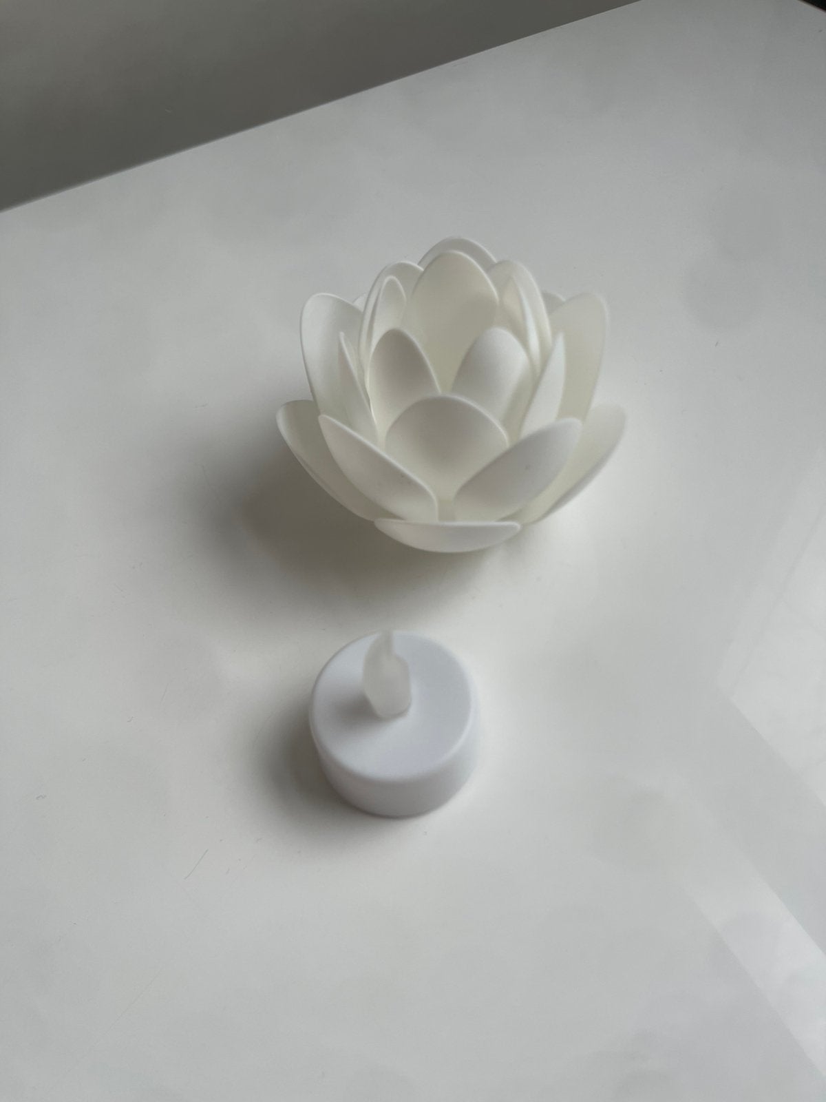 Lotus extra, Verzamelen, Ophalen, Zo goed als nieuw, Poppenhuis