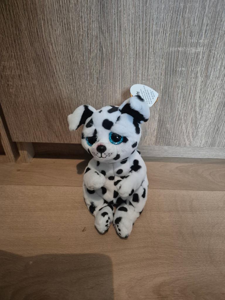 Nieuwe ty beanie dalmatiër knuffel rowdy, Ophalen of Verzenden, Nieuw, Overige typen