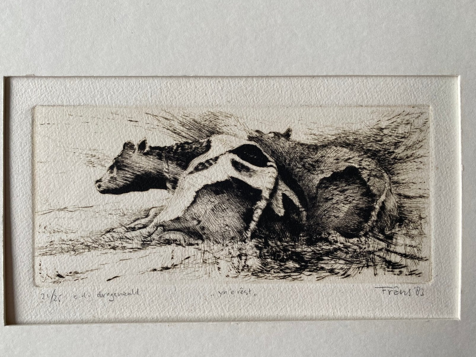 Frâns Faber “Yn E Rêst” koeien Ets 1983, Antiek en Kunst, Origineel, Ophalen of Verzenden, Flora en Fauna, 1950 - 1999