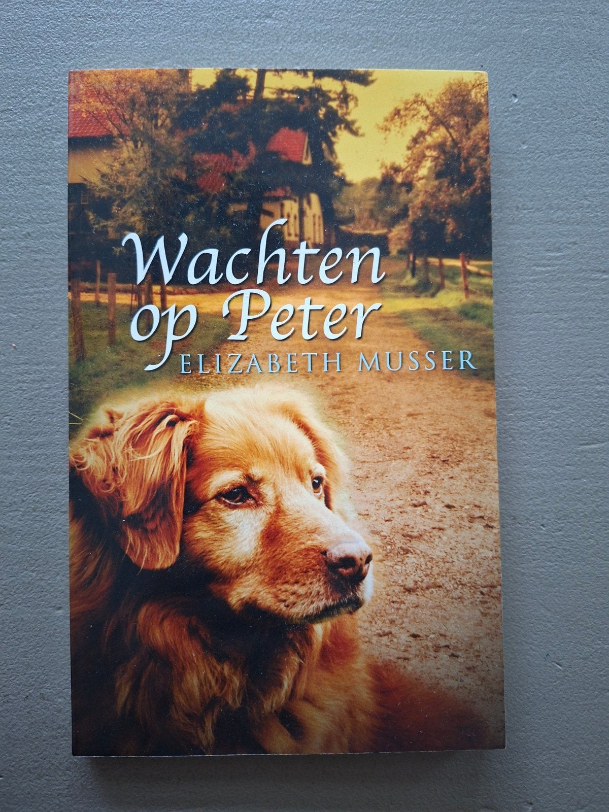 Wachten op Peter - Elizabeth Musser (Als nieuw), Ophalen of Verzenden, Zo goed als nieuw, Elizabeth Musser