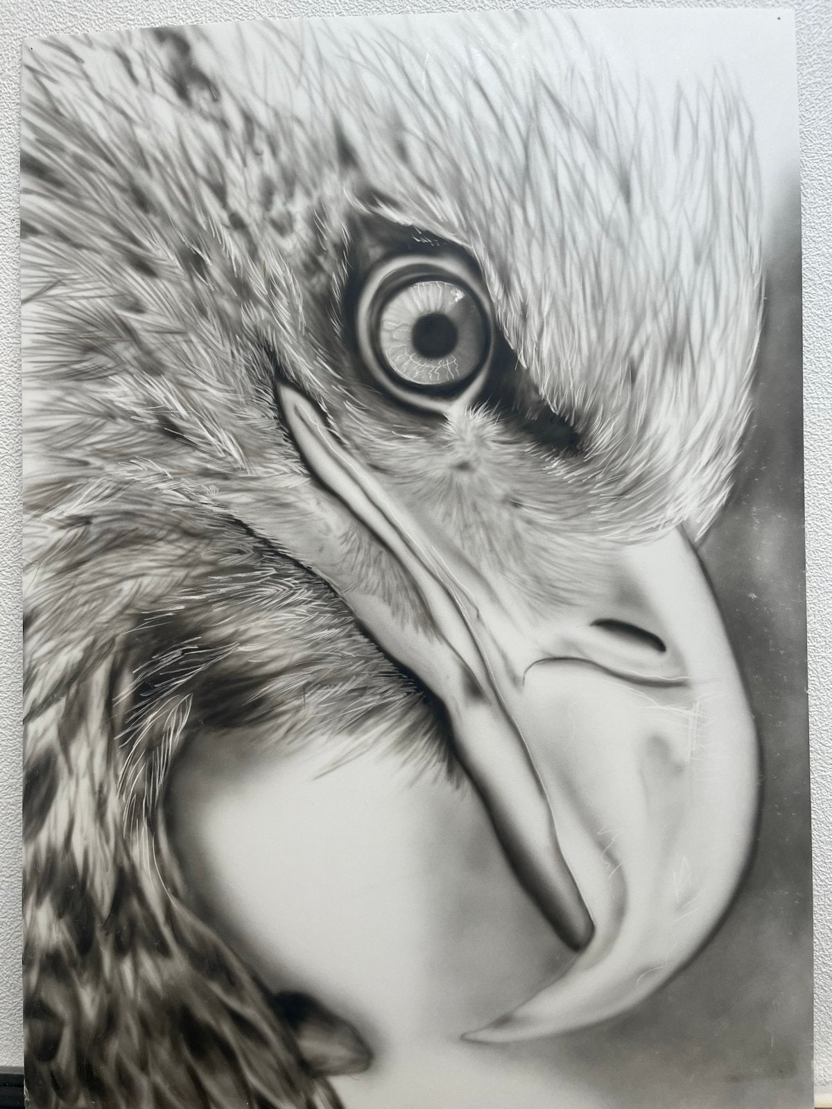 Indrukwekkende Airbrush Adelaar op Karton, Antiek en Kunst, Kunst | Tekeningen en Foto's, Ophalen, Tekening, Overige technieken