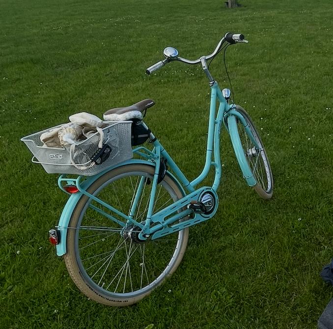 Victoria stadsfiets 7 versnellingen schade, goede onderdelen, Ophalen, Gebruikt, Overige typen, Victoria