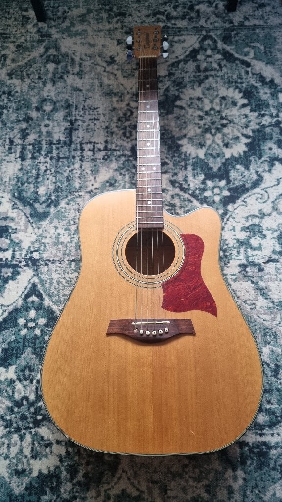 Tanglewood Sundance TW32 Custom Made, Muziek en Instrumenten, Ophalen, Gebruikt, Western- of Steelstringgitaar, Met (piezo-)element