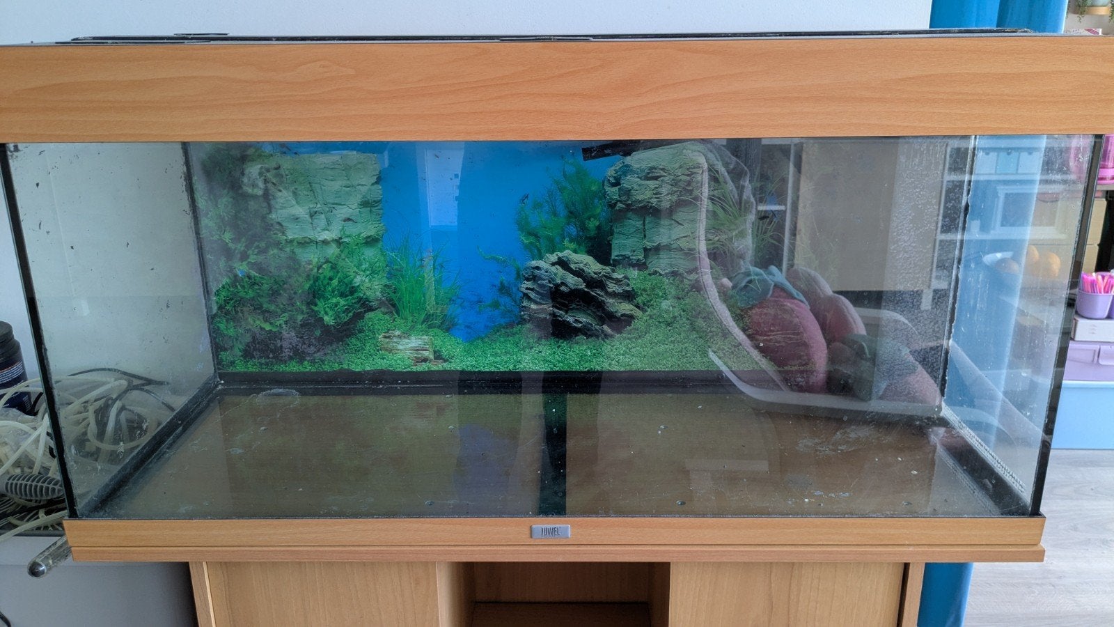 Juwel Rio 180 met kast, Dieren en Toebehoren, Vissen | Aquaria en Toebehoren, Ophalen, Gebruikt, Leeg aquarium, Juwel