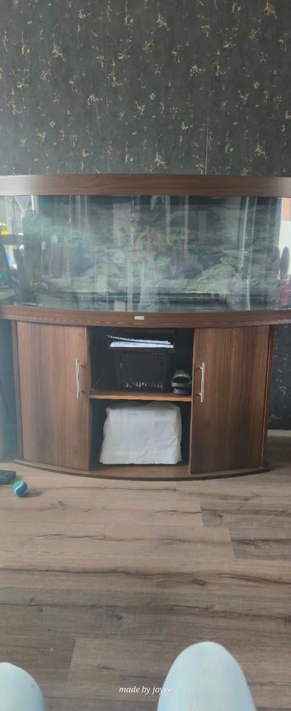 Juwel 450 liter bak, Dieren en Toebehoren, Vissen | Aquaria en Toebehoren, Ophalen, Zo goed als nieuw, Leeg aquarium