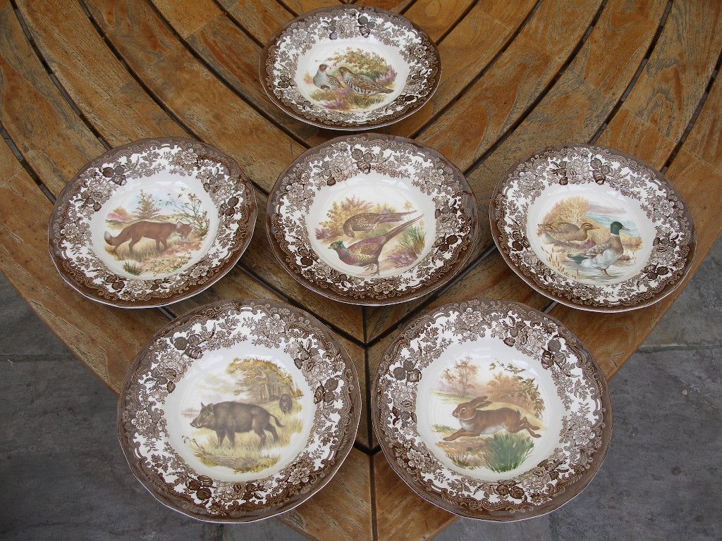 Diepe borden Royal Worcester Palissy Engels jachtservies, Ophalen of Verzenden, Zo goed als nieuw, Bord(en), Overige stijlen