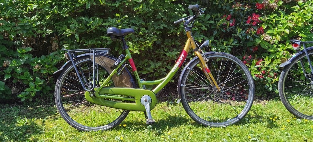 Pracht dames fiets Giant city, weinig gebruikt, Fietsen en Brommers, Fietsen | Dames | Damesfietsen, Ophalen, Gebruikt, Velgrem
