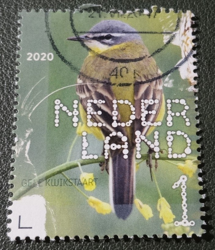 Beleef de Natuur - 3824 - 2020 - Gele Kwikstaart - PNe01-16, Verzenden, Na 1940, Gestempeld