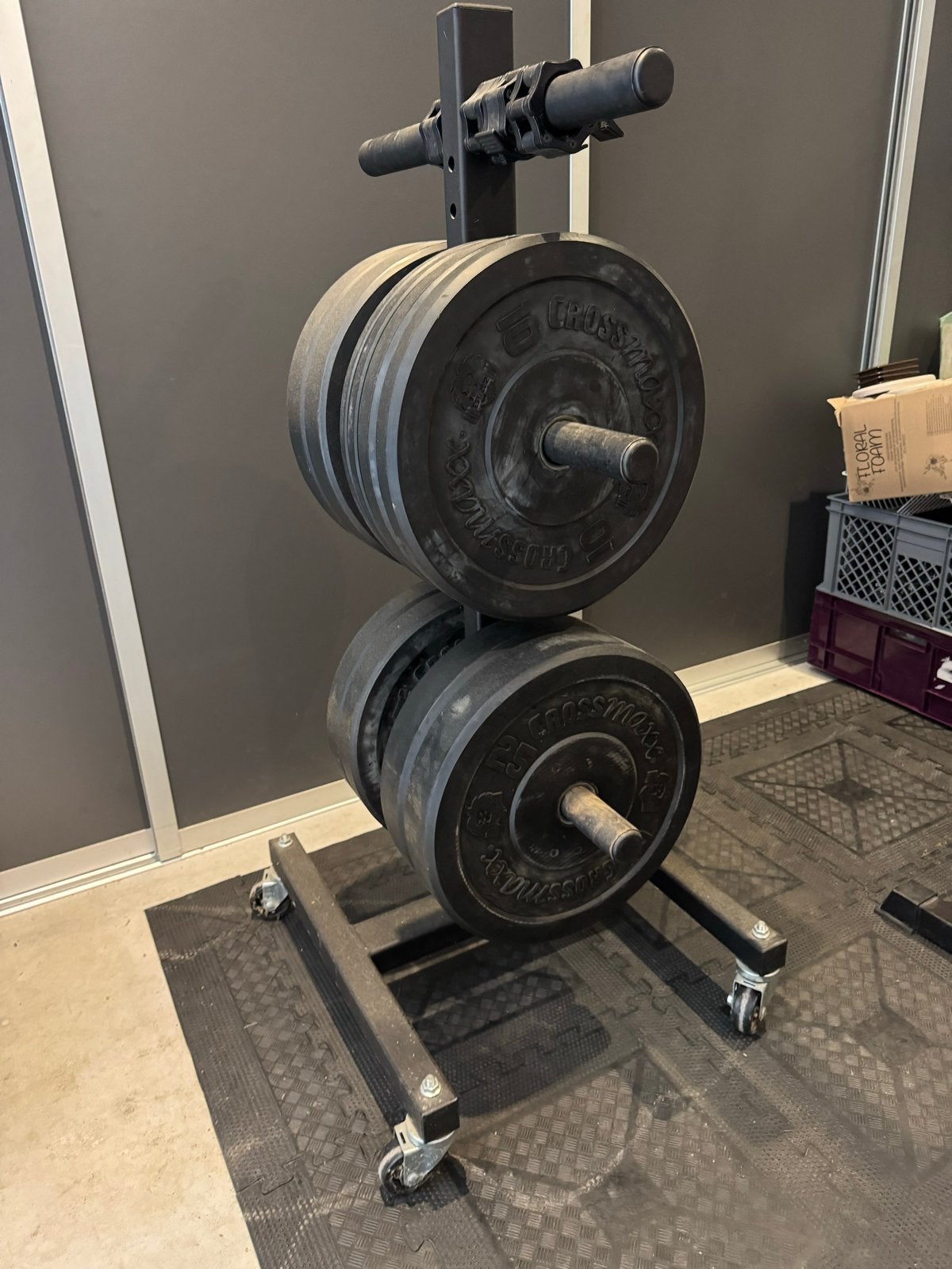 Complete Home Gym Set: Halterschijven, Stangen, Rack, Matten, Sport en Fitness, Ophalen of Verzenden, Gebruikt, Armen, Halterschijven