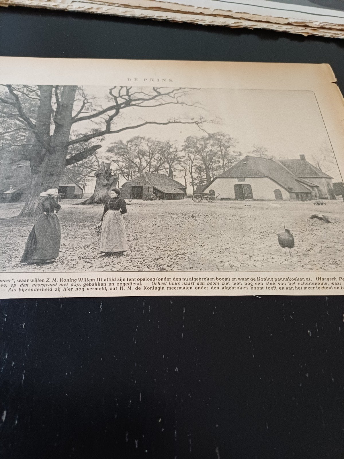 knipsel hoeve Het Uddelermeer 1915, Ophalen of Verzenden, Voor 1920, Knipsel(s)