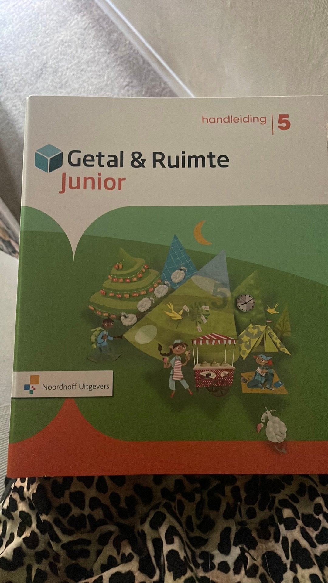 Handleiding getal en ruimte Junior groep 5, Ophalen of Verzenden, Zo goed als nieuw, Overige niveaus