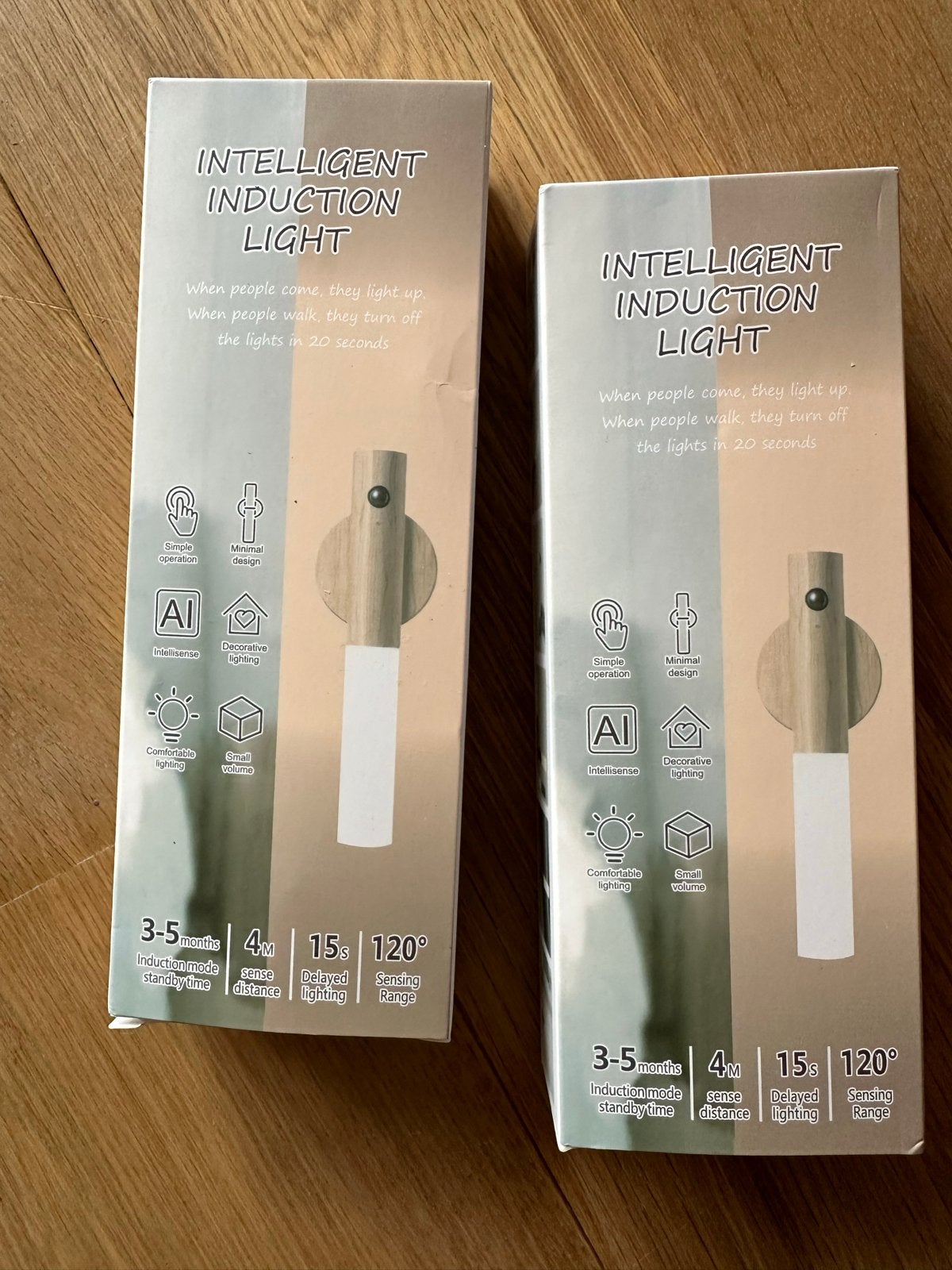 2 Intelligente Inductie Lamps met Bewegingssensor, Ophalen, Met sensor, Overige merken, Nieuw