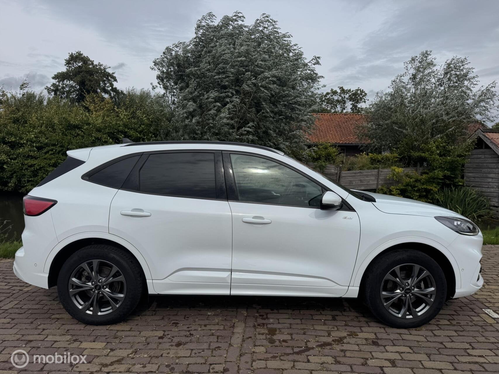 Ford Kuga 2.5 PHEV ST-Line X | Head-up | ACC | Elek. stoelen, Auto's, Gebruikt, 4 cilinders, Met garantie (alle), Wit