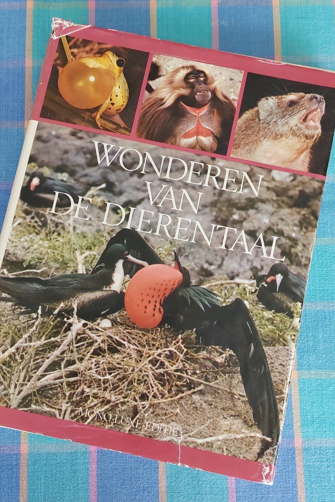 boek Wonderen van de dierentaal mono luxe editie, Boeken, Reisverhalen, Ophalen of Verzenden, Zo goed als nieuw, Europa