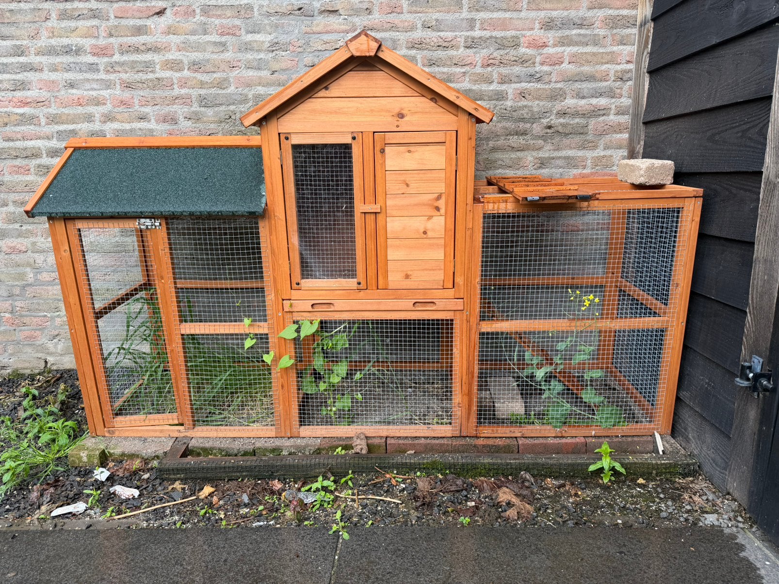 Kippen/konijnen kooi, Dieren en Toebehoren, Pluimvee | Toebehoren, Ophalen, Zo goed als nieuw, Drinken en Voederen