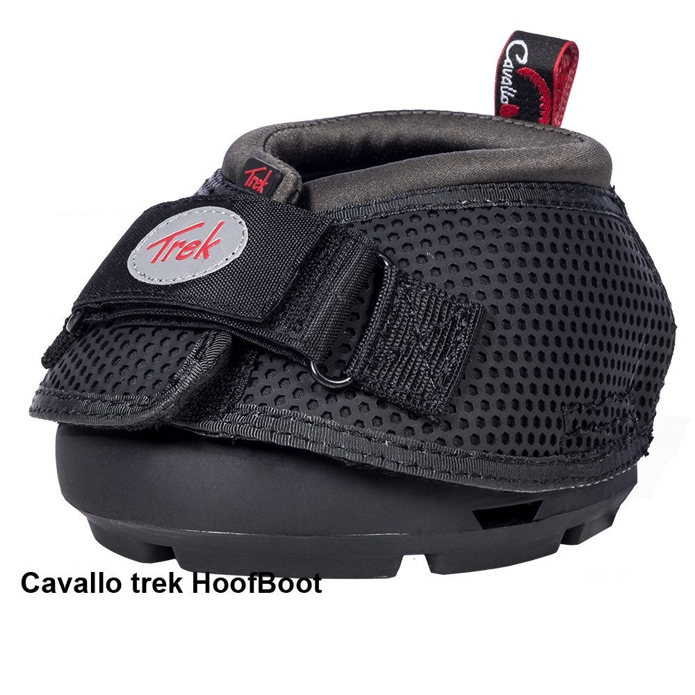 F.R.A. Cavallo Hoefschoenen TREK, maat 0, 1, 2, 3, 4, 5, Dieren en Toebehoren, Ophalen of Verzenden, Nieuw, Recreatie