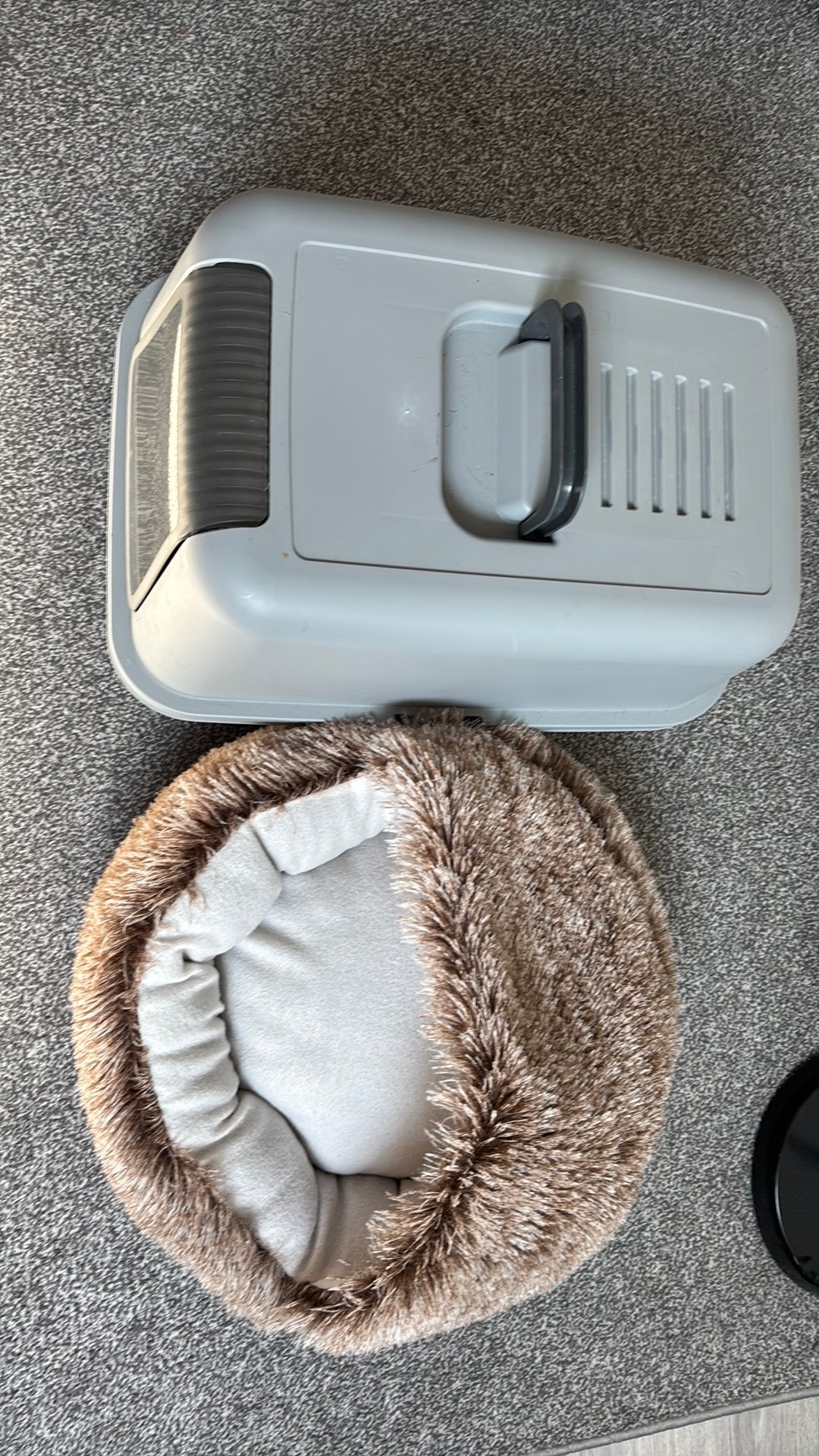 Katten bak en mand, Ophalen of Verzenden, Zo goed als nieuw, Riet