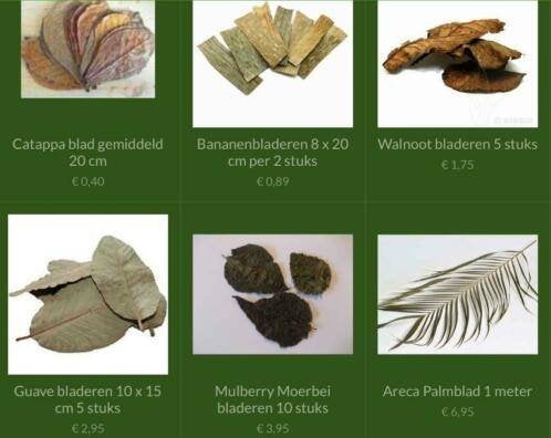 Aquarium natuurproducten, Decoratie, ., Nieuw, Overige merken