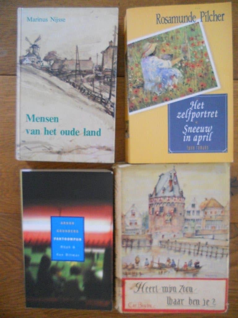 doos boeken / ( streek) romans, Ophalen, Gelezen, Zuid-Holland