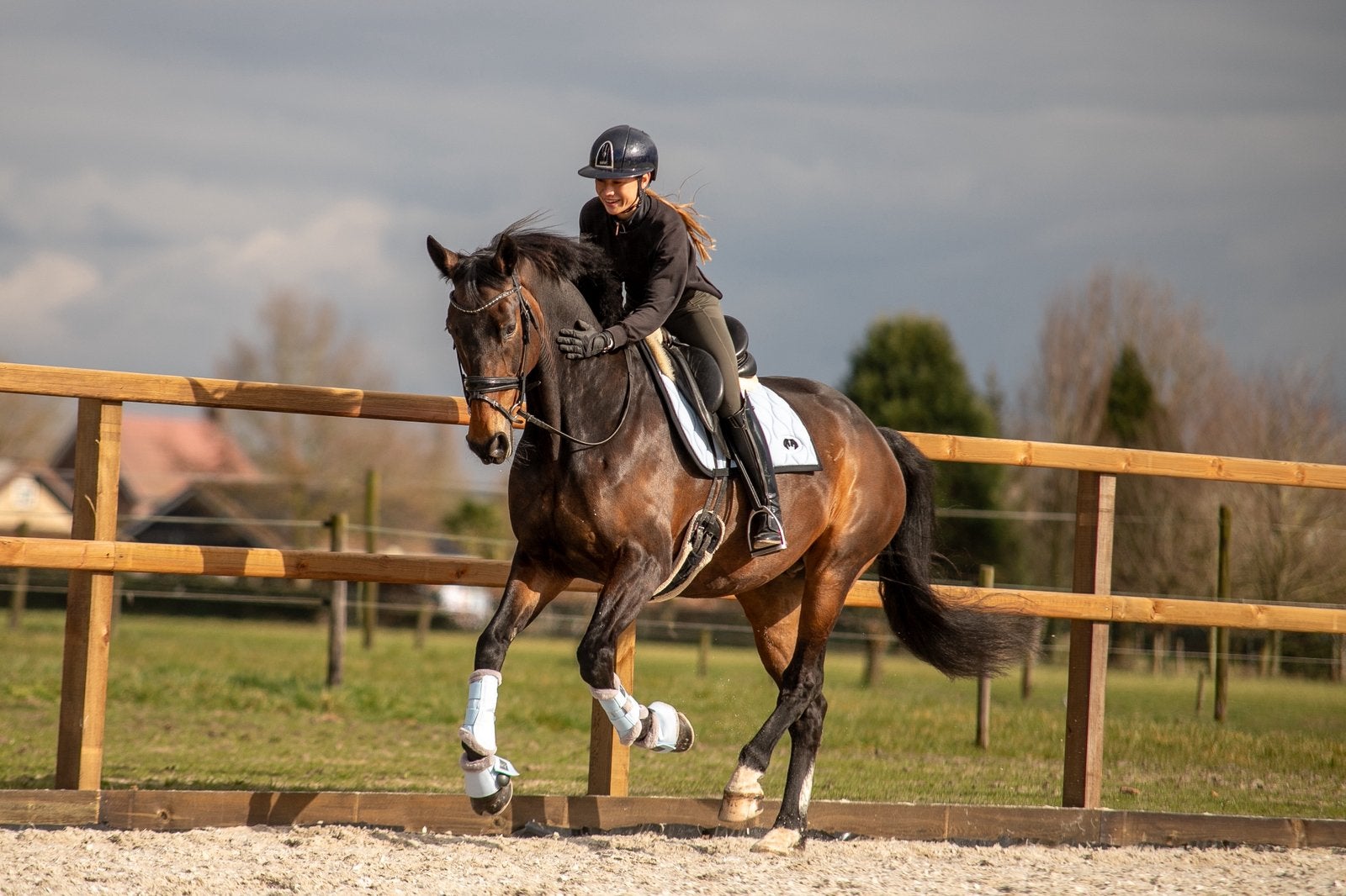 Privélessen, Diensten en Vakmensen, Dieren | Paarden | Verzorging, Oppas en Les