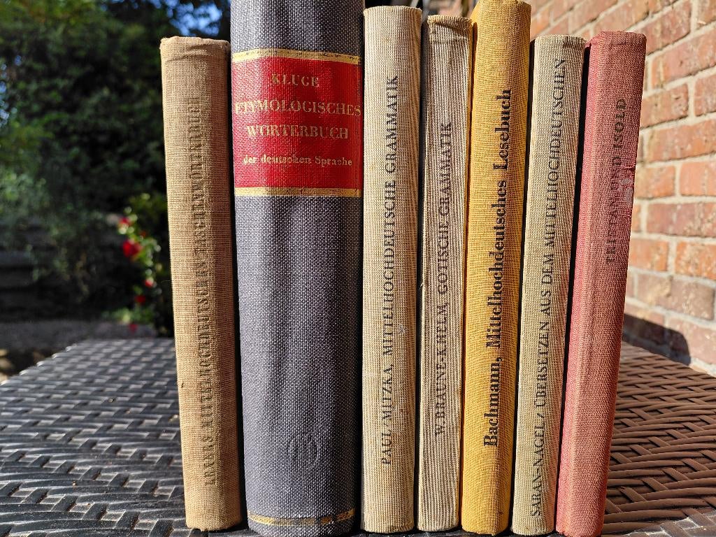 Oude Duitse studieboeken / Middelhoogduits / germanistiek, Boeken, Ophalen of Verzenden, Gelezen, Overige wetenschappen