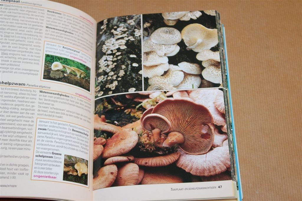 Paddestoelen: Herkennen en Benoemen — Natuurgids [2003], Ophalen of Verzenden, Gelezen, Vogels